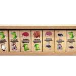 Australian Animal Dominoes