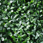 Portable Boxwood Hedge UV Stabilised 75cm High 100cm Long