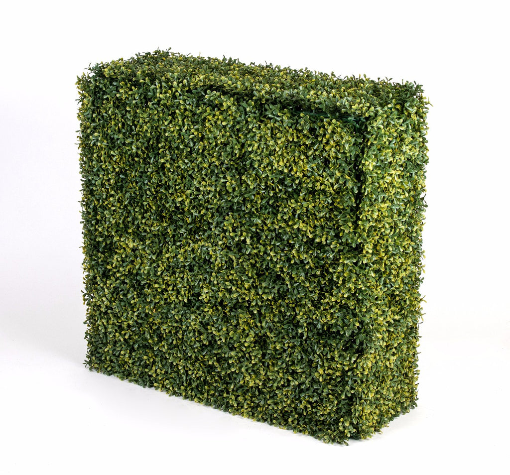 Portable UV Yellow Boxwood Hedge UV Stabilised 75cm X 75cm