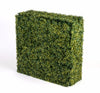 Portable UV Yellow Boxwood Hedge UV Stabilised 75cm X 75cm