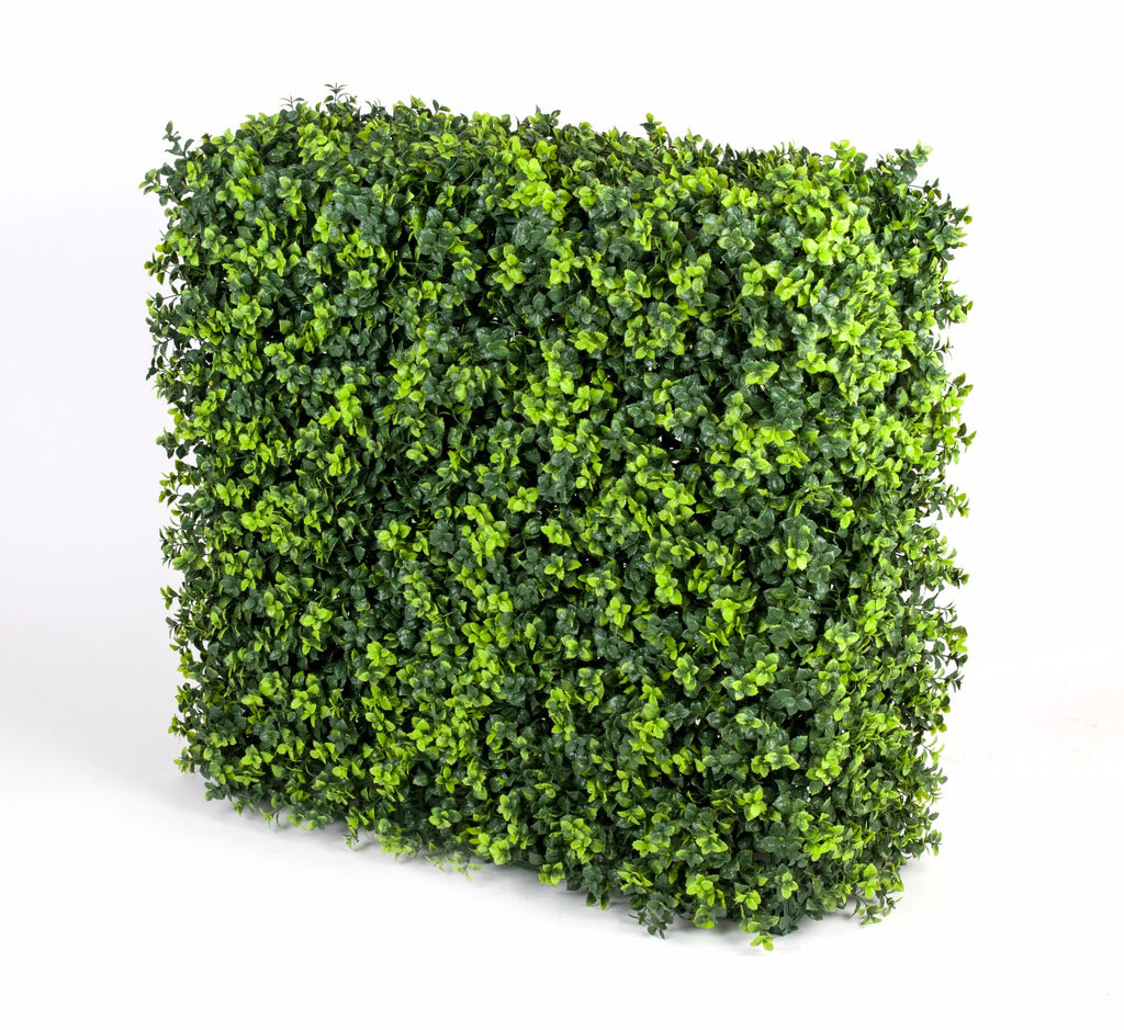 Portable UV Elm Hedge UV Stabilised 75cm X 75cm
