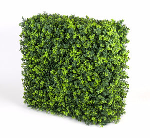 Portable UV Elm Hedge UV Stabilised 75cm X 75cm