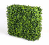 Portable UV Elm Hedge UV Stabilised 75cm X 75cm
