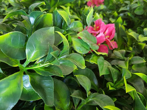 Pink Lily Vertical Garden UV Stabilised 1m X 1m