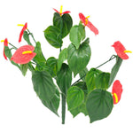 Red Anthurium Bunch UV