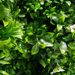 White Oasis Vertical Garden / Green Wall UV Resistant 1m x 1m