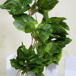 Ivy Garland Vines 260cm Each - 5 Per Pack