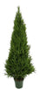 UV Resistant Cypress Pine Tree 1.8m