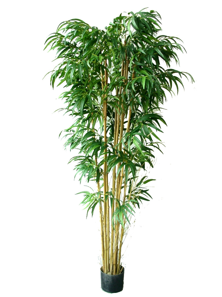 Faux Twiggy Bamboo On A Natural Trunk 180cm