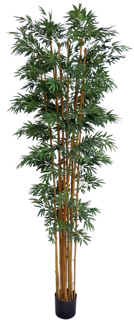 Artificial Japanese Bamboo On A Natural Trunk 2.1m