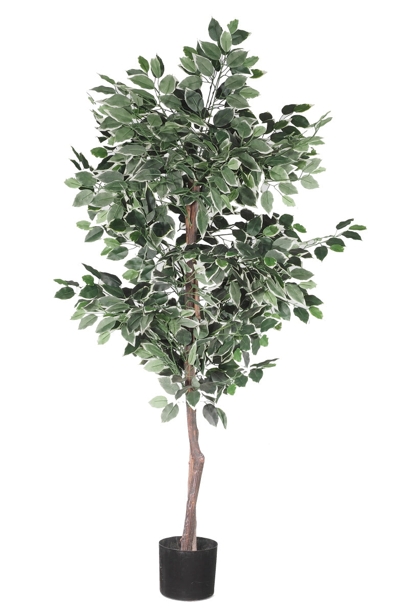 Bushy Artificial Ficus Tree 1.2m