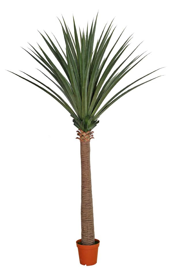 Large Artificial Dracaena (Yucca) 260cm