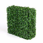 Portable Rose Hedge UV Stabilised 75cm X 75cm