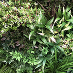 UV Stabilized Native Meadows Select Range Vertical Garden 90cm X 90cm