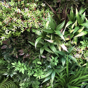 UV Stabilized Native Meadows Select Range Vertical Garden 90cm X 90cm