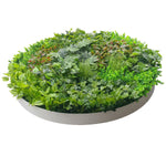 Artificial Green Wall Disk Art 150cm - Dense Green Sensation - White Frame