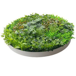 Artificial Green Wall Disk Art 150cm - Dense Green Sensation - White Frame