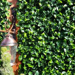 Jasmine Leaf Screens / Panels UV Stabilised 1m X 1m