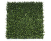 Premium Natural Buxus Hedge Panels UV Resistant 1m x 1m