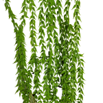 Hanging Dense Wild Grass 100cm