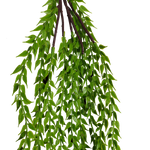 Hanging Dense Wild Grass 100cm
