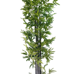 UV Stabilized Artificial Japanese Bamboo On A Black Trunk 1.8m