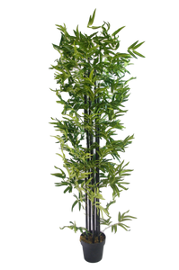 UV Stabilized Artificial Japanese Bamboo On A Black Trunk 1.8m