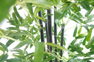 UV Stabilized Artificial Japanese Bamboo On A Black Trunk 1.8m