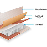 Palermo Contour 20cm Encased Coil Queen Mattress CertiPUR-US Certified Foam