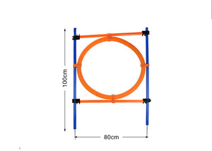 Pet Dog Agility Jump Training Set