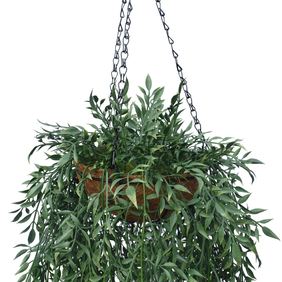 Hanging Fern Basket 110 cm