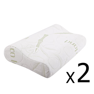 Giselle Bedding Set of 2 Bamboo Pillow with Memory Foam 