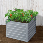 Greenfingers Galvanised Steel Raised Garden Bed Instant Planter 100 x 100 x 77cm Aluminium X2