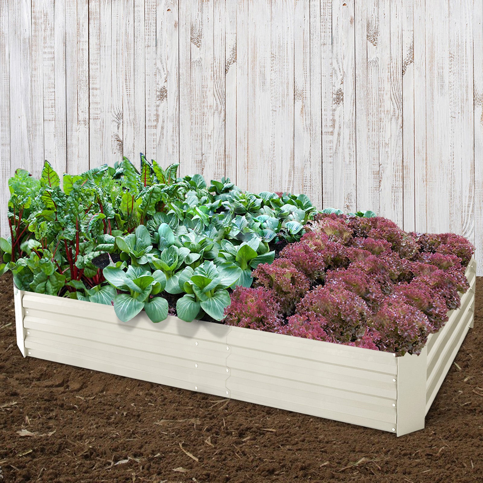 Green Fingers Set of 2 210cm x 90cm Raised Garden Bed - Cream