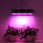 Green Fingers 600W LED Grow Light Full Spectrum 