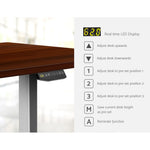 Electric Motorised Height Adjustable Standing Desk - Grey Frame with 160cm Walnut Top