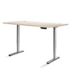 Artiss Height Adjustable Standing Desk Sit Stand Motorised Electric Roskos III Grey White Oak