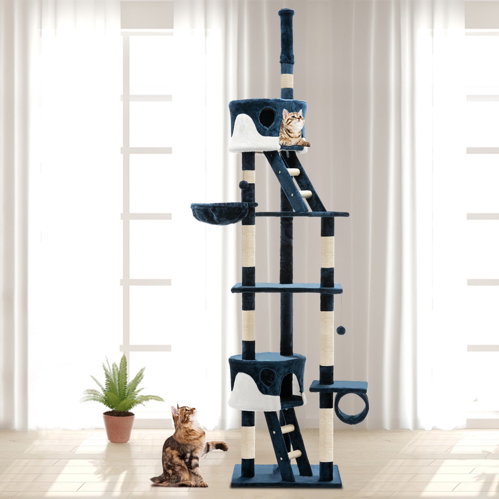 i.Pet 260cm Multi Level Cat Scratching Post - Blue