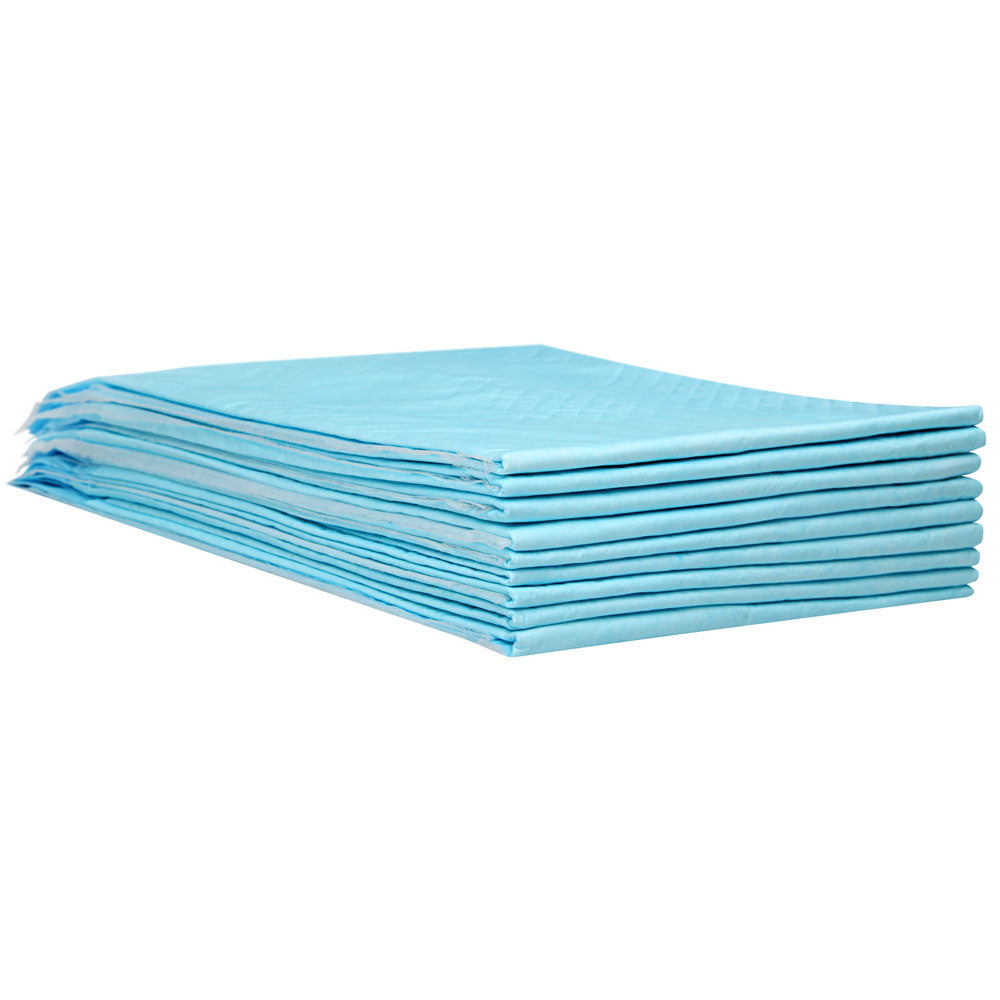 200 Piece Absorbent Pet Toilet Training Pads - Blue