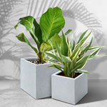 Gardeon 2X Plant Pots Plants Pot Stone Large Garden Indoor Outdoor Flower Planters Decor Grey Square