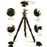 Weifeng 173cm Professional Ball Head Tripod Digital Camera 