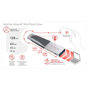 SANDISK IXPAND IMINI FLASH DRIVE SDIX40N 256GB GREY IOS USB 3.0  SDIX40N-256G