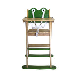 Frog High Chair 