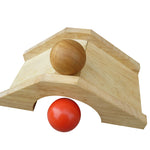 Mini Golf Set