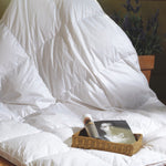 Single Quilt - Microfiber