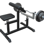 Curl Bench Weights