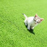 Synthetic Artificial Grass Turf 5 sqm Roll - 20mm