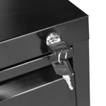2-Drawer Shelf Office Gym Filing Storage Locker Cabinet