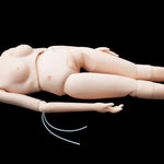 Anatomical Human Patient Care Manikin Model Nursing Training