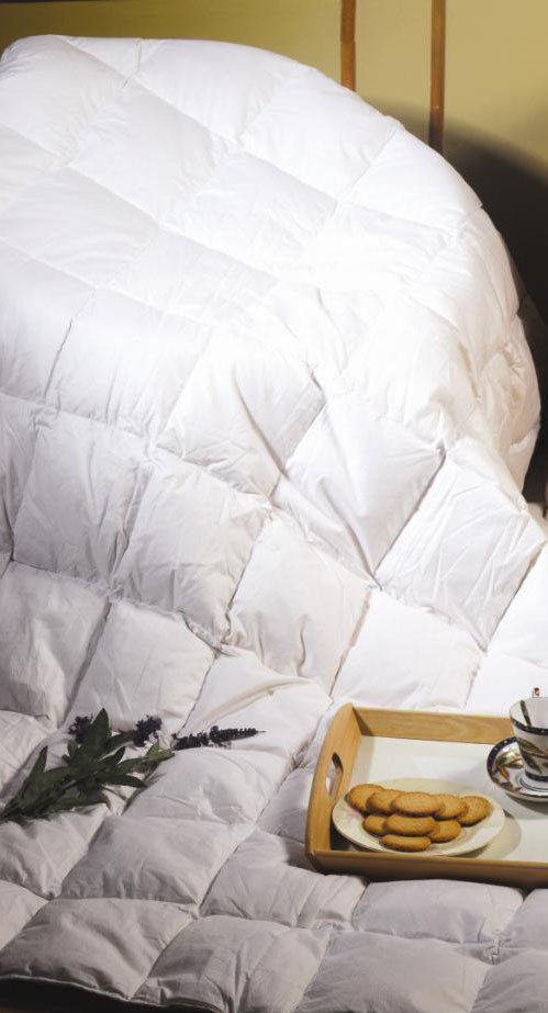 King Single Quilt - 100% White Goose Feather